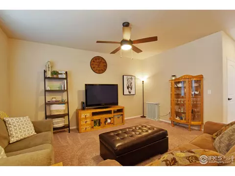 2120 Grain Bin Dr, Windsor, CO 80550 photo 8