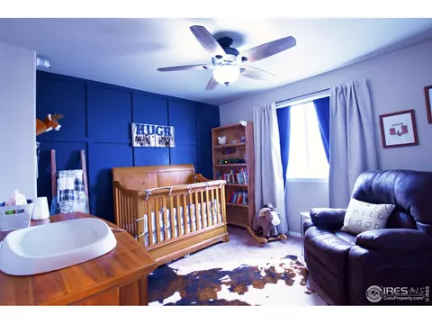 2120 Grain Bin Dr, Windsor, CO 80550 photo 28