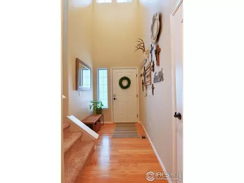 2120 Grain Bin Dr, Windsor, CO 80550 photo 5
