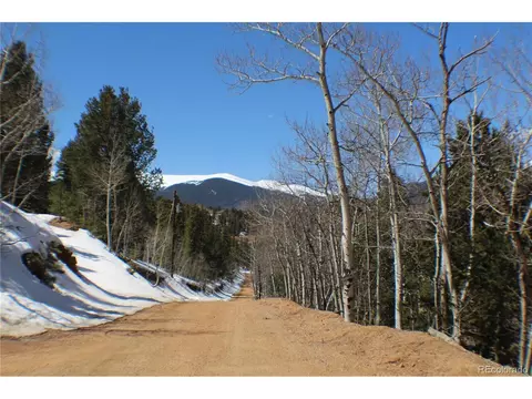 231 Wise Rd, Bailey, CO 80421