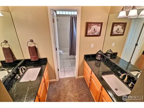 317 53rd Ave, Greeley, CO 80634 photo 23