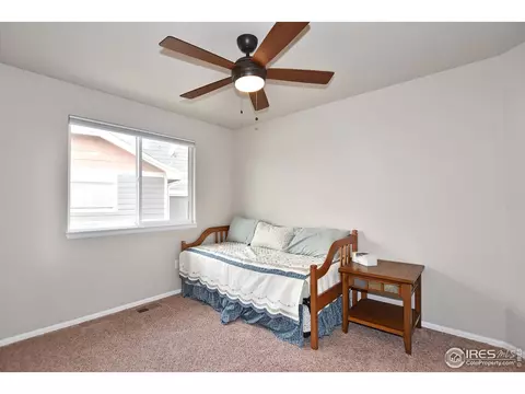 754 Corn Stalk Ct, Windsor, CO 80550 photo 18