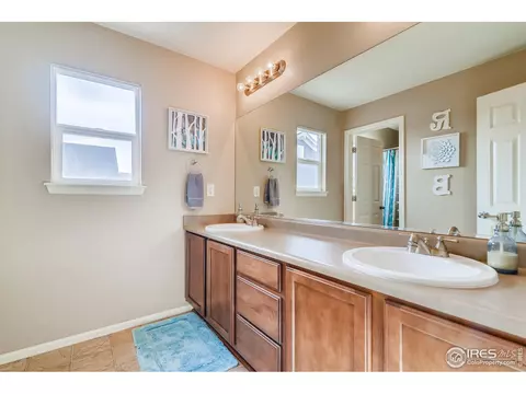 635 Camberly Ct, Windsor, CO 80550 photo 27