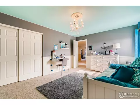 635 Camberly Ct, Windsor, CO 80550 photo 23