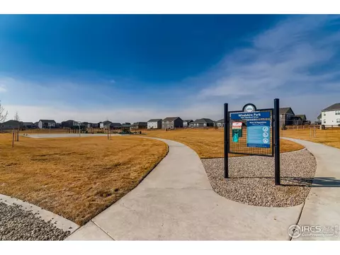 635 Camberly Ct, Windsor, CO 80550 photo 39