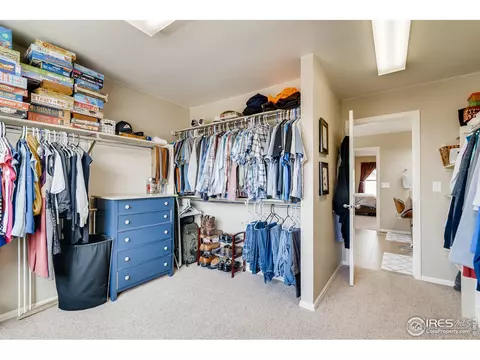 635 Camberly Ct, Windsor, CO 80550 photo 21