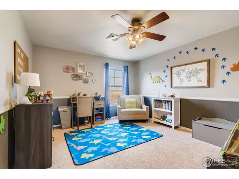 635 Camberly Ct, Windsor, CO 80550 photo 26