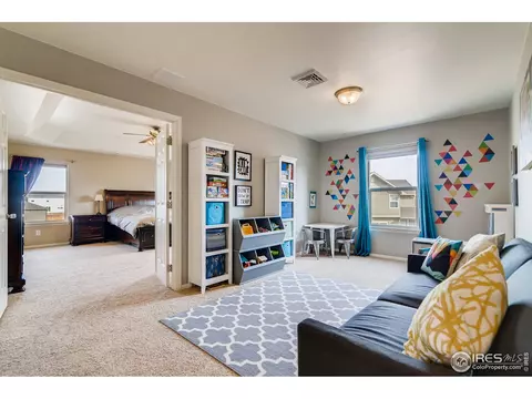 635 Camberly Ct, Windsor, CO 80550 photo 16