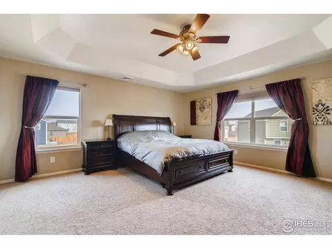 635 Camberly Ct, Windsor, CO 80550 photo 17
