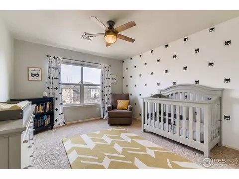635 Camberly Ct, Windsor, CO 80550 photo 25