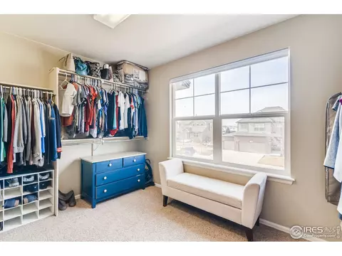 635 Camberly Ct, Windsor, CO 80550 photo 22