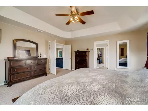 635 Camberly Ct, Windsor, CO 80550 photo 18