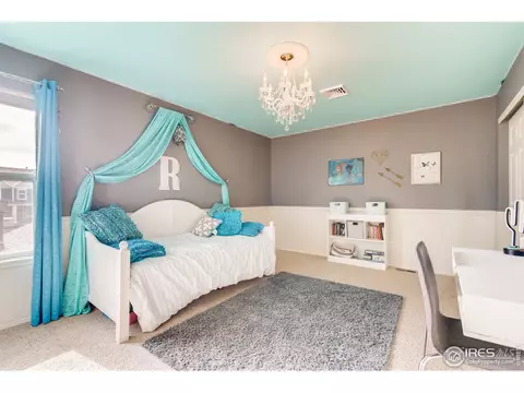 635 Camberly Ct, Windsor, CO 80550 photo 24