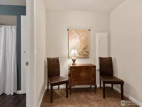 6764 Silverleaf Ave, Longmont, CO 80504 photo 24