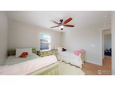 121 Ibiza Ct, Windsor, CO 80550 photo 28
