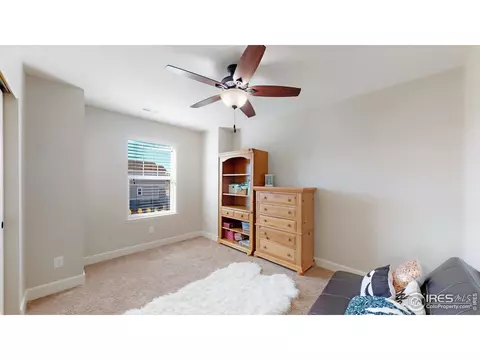 121 Ibiza Ct, Windsor, CO 80550 photo 32