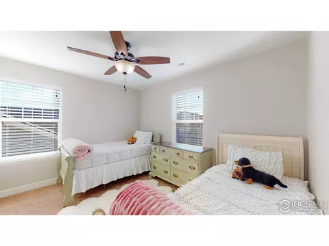 121 Ibiza Ct, Windsor, CO 80550 photo 29