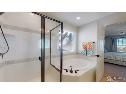 121 Ibiza Ct, Windsor, CO 80550 photo 22