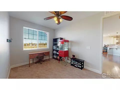 121 Ibiza Ct, Windsor, CO 80550 photo 17