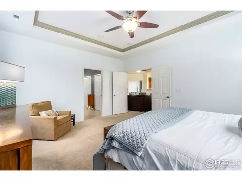 5756 Quarry St, Timnath, CO 80547 photo 16