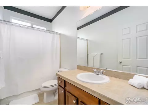 5756 Quarry St, Timnath, CO 80547 photo 11