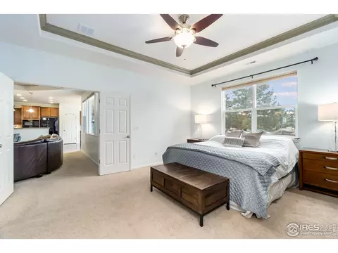 5756 Quarry St, Timnath, CO 80547 photo 17