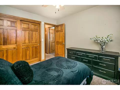 810 Pine Dr, Windsor, CO 80550 photo 22