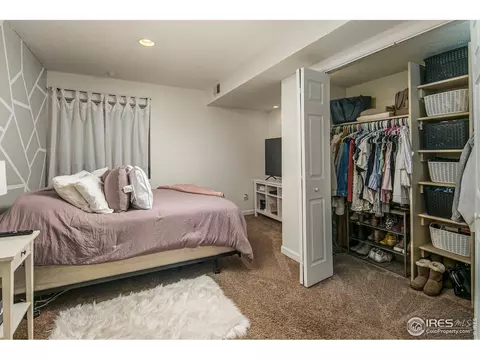 810 Pine Dr, Windsor, CO 80550 photo 30
