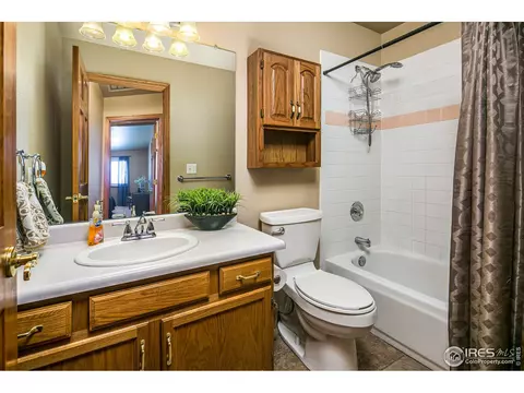 810 Pine Dr, Windsor, CO 80550 photo 24