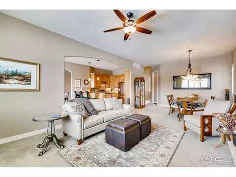 4609 Freehold Dr, Windsor, CO 80550 photo 7