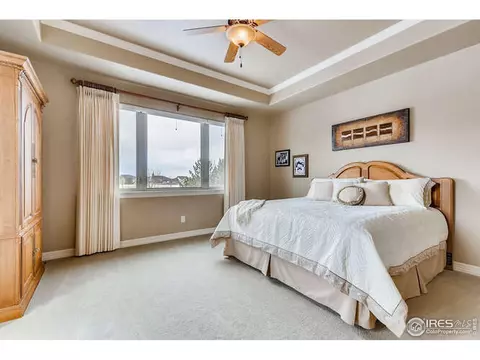 4609 Freehold Dr, Windsor, CO 80550 photo 19