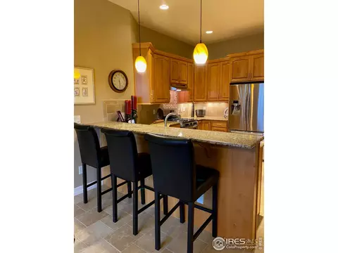4609 Freehold Dr, Windsor, CO 80550 photo 14