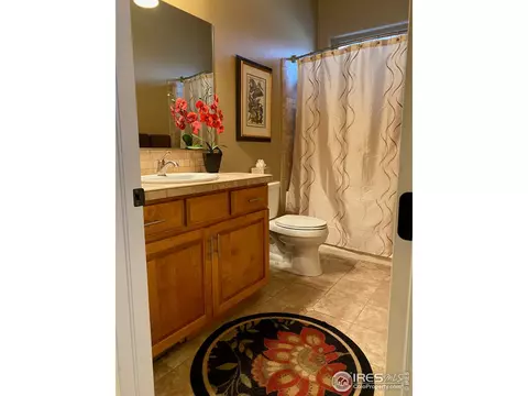 4609 Freehold Dr, Windsor, CO 80550 photo 26