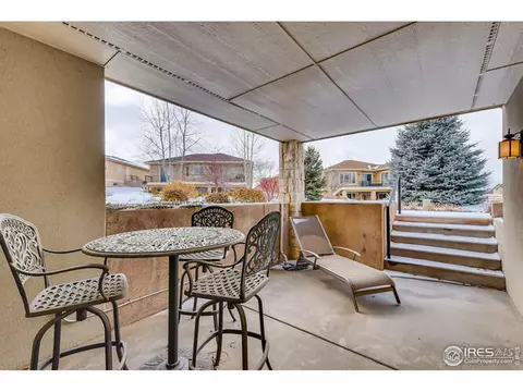 4609 Freehold Dr, Windsor, CO 80550 photo 39