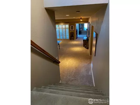 4609 Freehold Dr, Windsor, CO 80550 photo 27