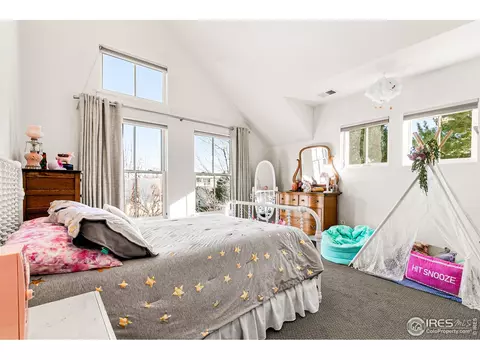2827 11th St, Boulder, CO 80304 photo 28