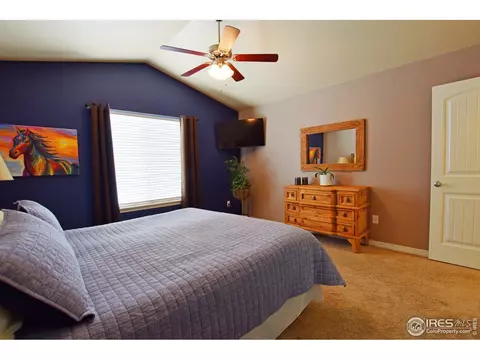 412 Wind River Dr, Windsor, CO 80550 photo 17