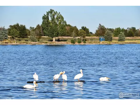 412 Wind River Dr, Windsor, CO 80550 photo 40