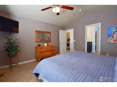 412 Wind River Dr, Windsor, CO 80550 photo 18