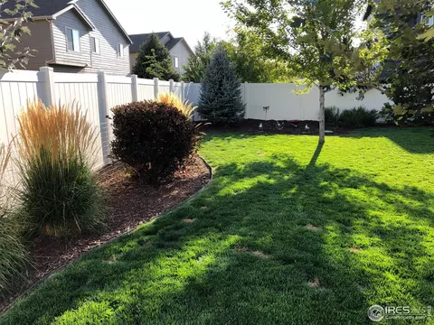 412 Wind River Dr, Windsor, CO 80550 photo 32
