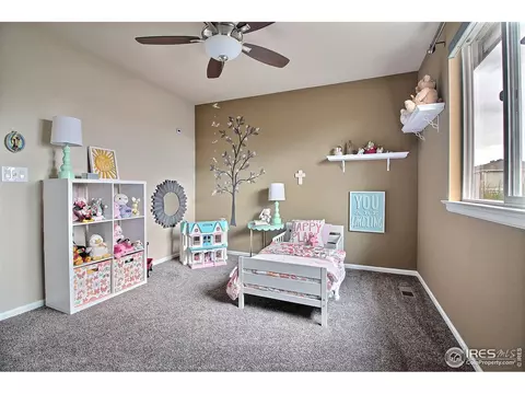 4259 Windmill Dr, Brighton, CO 80601 photo 27