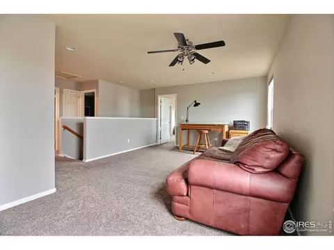 4259 Windmill Dr, Brighton, CO 80601 photo 22