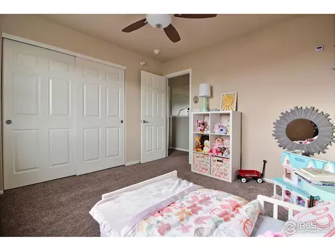 4259 Windmill Dr, Brighton, CO 80601 photo 28