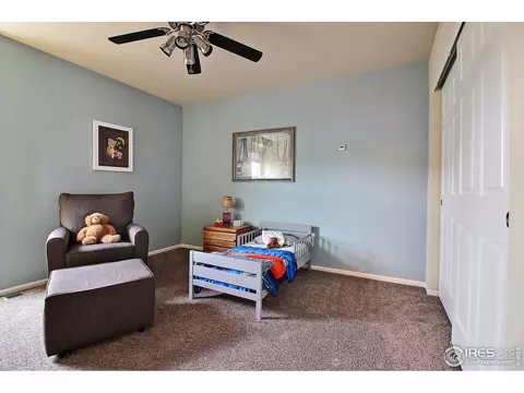 4259 Windmill Dr, Brighton, CO 80601 photo 29