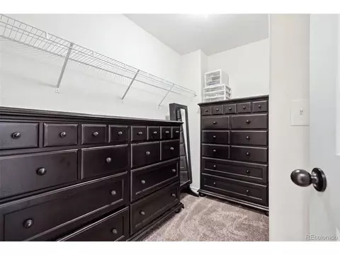 Other - 1992 Thundercloud Dr, Windsor, CO 80550 photo 2 of 13