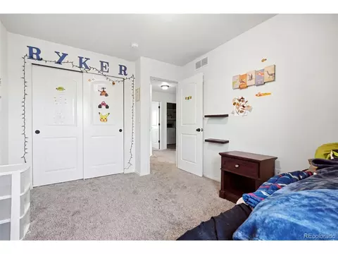 Other - 1992 Thundercloud Dr, Windsor, CO 80550 photo 3 of 13