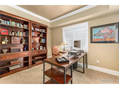 5517 Evangeline Dr, Windsor, CO 80550 photo 26