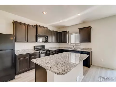 1069 Long Meadows St, Windsor, CO 80550 photo 5