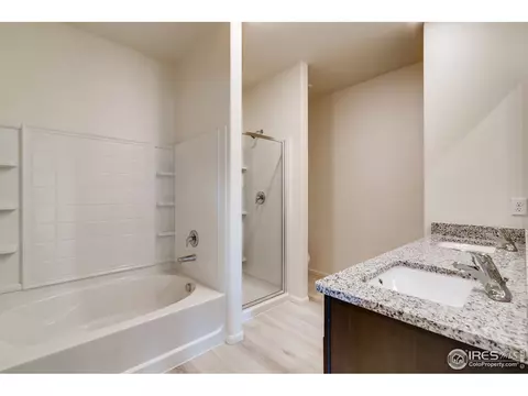 1083 Long Meadows St, Windsor, CO 80550 photo 13