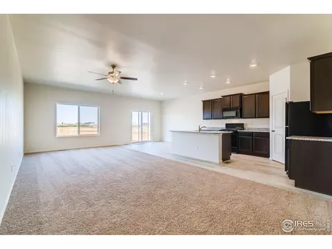 1083 Long Meadows St, Windsor, CO 80550 photo 4